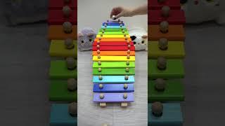 Marble run (Xylophone) ⬇️ #xylophone #dominogirl #marblerun