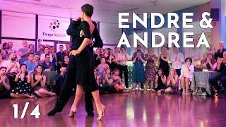 Endre Szeghalmi & Andrea Serban 1/4 @Belgrade Tango Weekend, Derrotado - Carlos Di Sarli