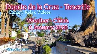 Tenerife ️ Puerto de la Cruz Morning Weather 8 January 2025 Teneriffa