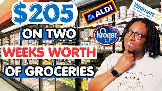 Grocery shopping at Aldi, Walmart, & Kroger | Feeding My Family of 5