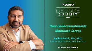 Inscopix DECODE Summit 2020 | Dr. Sachin Patel, Vanderbilt | Endocannabinoids & Stress