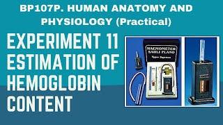 EXPERIMENT 11 : Estimation of Hemoglobin Content |HUMAN ANATOMY AND PHYSIOLOGY PRACTICAL FILE WORK