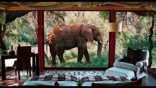 Top 5 Wildlife Resorts In India | Luxury Jungle Resorts In India | Travelsite India