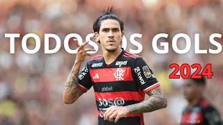 Todos os GOLS do PEDRO pelo FLAMENGO em 2024 (até agora)