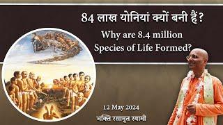 Why are 8.4 million Species of Life Formed | 84 लाख योनियां क्यों बनी हैं? | Bhakti Rasamrita Swami