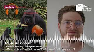 Gorillas mit Künstlicher Intelligenz schützen | HPI-Wissenspodcast "Neuland"