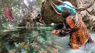 Telaga Bening YG Dikelilingi Hutan Angker, Bersarang Ikan-ikan Mahal Kelas atas.