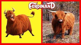 FERDINAND CHARACTERS IN REAL LIFE 2024   @botobototv