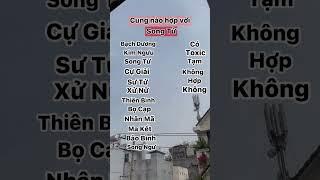 Song Tử hợp với cung nào trong tình yêu? Bật mí điều thú vị! #boi_tinh_yeu