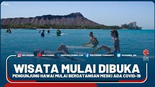 WISATA MULAI DIBUKA, PENGUNJUNG HAWAI MULAI BERDATANGAN