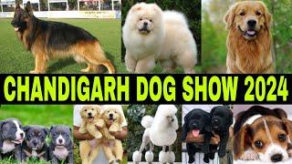 Chandigarh Dog Show 2024 | Parade Ground | Sector 17 Chandigarh | Full Info