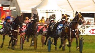 Royal Welsh Show 24 7 2008 Harness Racing Final