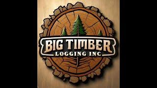 FS25! BIG TIMBER LOGGING! DAY 1