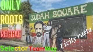 Foundation Roots Mix Selector Teamway