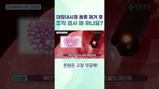 대장내시경 용종 제거 후 조직 검사 왜 하나요? #대장내시경 #내시경 #용종 #용종제거 #조직검사 #대장내시경용종 #용종검사 #용종치료 #내시경검사 #대장내시경검사 #한솔병원