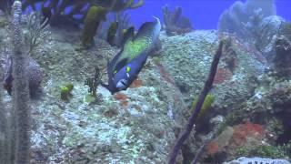 Grand Cayman