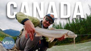 96 HOURS NORTH: A Week of Fly Fishing in Canada (pt. 1)