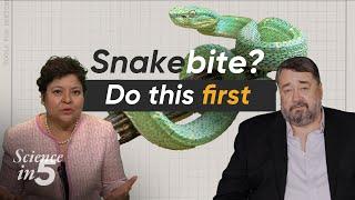 WHO’s Science in 5 - Snakebites: Life saving facts - 20 September 2024