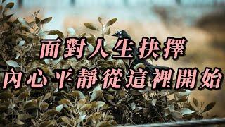 如何面對人生的抉擇，內心的平靜從這裡開始［心靈談話］｜心靈雞湯