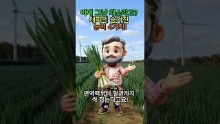 대파 하나로 감기, 소화, 혈액까지 싹 잡자