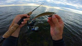 My favorite kinda fishing! Light Tackle Surf Fishing for Striped Bass