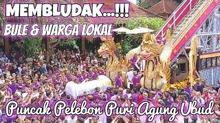 Puncak Pelebon Puri Ubud | Cok Istri Rai Darmawati