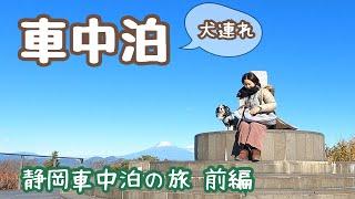 50代看護師の冬休み。忙しい仕事をぬけ出して静岡へ。静岡市を駆け巡る犬連れ車中泊の旅：前編。