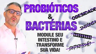 PROBIÓTICOS podem transformar sua saúde 