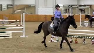 1.0m clinic with Grant Segar (Frankie)