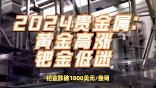 2024贵金属投资“冰火两重天”：黄金有望创新高，钯金或跌至冰点