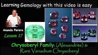 L 17 E | Chrysoberyl Family with Alexandrite & Rare Vanadium Chrysoberyl | Chrysoberyl Cat's-eye