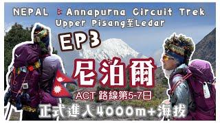 尼泊爾行山3️⃣2025ACT 安納布爾納環線徒步山旅 EP3[海外登山分享] 4k拍攝｜由Upper Pisang至Ledar｜第5-7日ACT行旅️正式步進四千米海拔｜［廣東話］