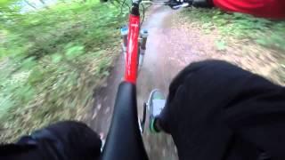 Stromberg Flowtrail - Wild Hog - Abschnitt 1 - Juli 2014