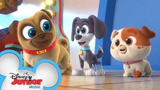 New Playcare for Puppies!  | Puppy Dog Pals | @Disney Junior