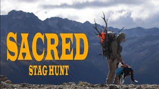 Red stag hunting on New Zealand public land | Red stag roar hunt