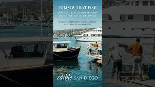 Follow That Fish