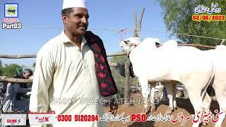 Domail Mandi 02/06/2023   Part03 Sunny Video Fateh Jang Dhanibulls دومیل منڈی کے ریٹ