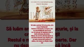 8 Iunie UN GAND PE ZI DIN INTELEPCIUNEA MAICII SILUANA.#înțelepciune #maicasiluanavlad #ortodox