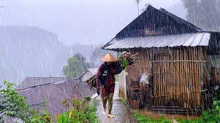 HEAVY RAIN DOESN'T STOP AT HILLY VILLAGE LIFE | VILLAGE RAIN SOUNDS FOR SLEEPING