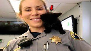 The sheriff arrested a black kitten and gave him a life sentence in his house