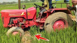 Mahindra 275 DI power  and Human power  || Tractor guru subha ||