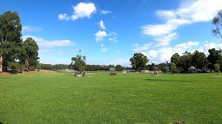 湖边草坪上来一场澳式烧烤 BBQ near Lilydale Lake