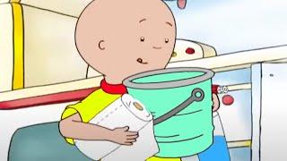 Caillou's Big Clean Up | Caillou Cartoon