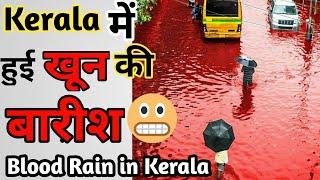 Blood Rain in Kerala || Red blood rain in Kerala || #Shorts