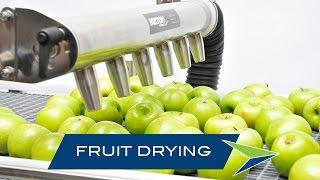 Paxton Products Fruit Drying Stainless Steel Air Knife