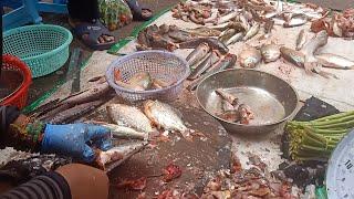 Very good and Fresh fish at SEREY PHEAP Fish Market, Phnom Penh Cambodia.