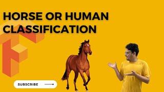 Deep Learning Tutorial 3 - Horse or Human Classification using CNN