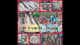 Wholesale Fish Market. Kakinada Sea Port-1