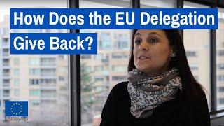 Join the EU Delegation in Giving Back