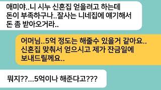 (반전사연)남편이 해외에 딴살림 차린것도 모르고 시누 신혼집을 사달라는 시모..잔금일에 돈 대신 서류한장을 보내자 시모가 뒷목잡고 쓰러지는데ㅋ[라디오드라마][사연라디오][카톡썰]